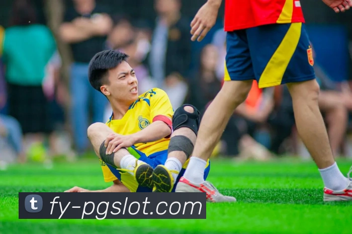 PG电子娱乐官网APP 封面图